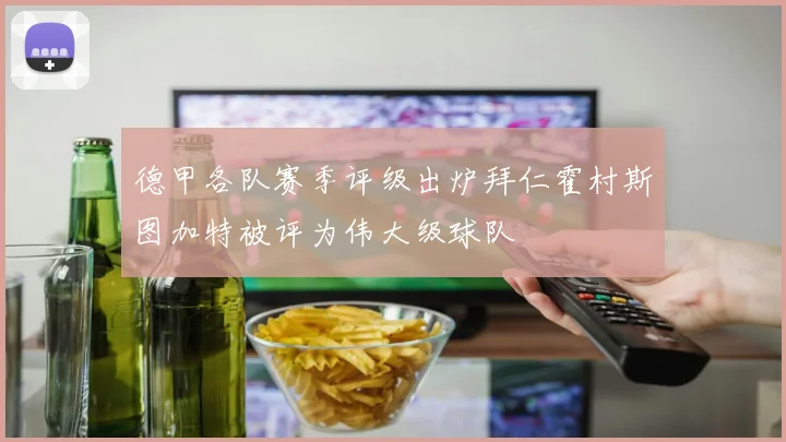 德甲各队赛季评级出炉拜仁霍村斯图加特被评为伟大级球队