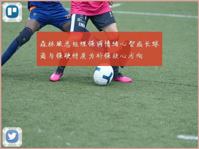 森林狼总经理强调情绪心智成长球商与强硬特质为补强核心方向
